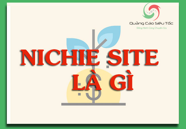 Niche Site là gì ? Hướng dẫn cách tìm Niche Site SEO chất lượng